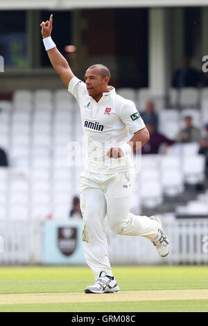 Tymal Mills d'Essex célèbre le guichet de Chris Tremlett - Surrey CCC vs Essex CCC - LV County Championship Division Two de cricket au Kennington Oval, Kia, Londres - 23/04/14 Banque D'Images