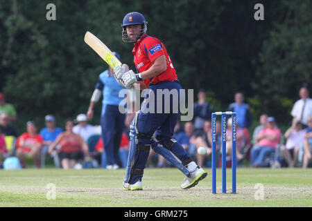 Mark Pettini en action au bâton d'Essex - Derbyshire Falcons vs Essex Eagles - Yorkshire Bank YB40 Cricket à Highfield, poireau Cricket Club - 09/06/13 Banque D'Images