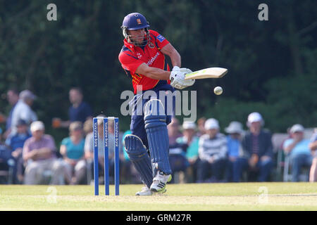 Mark Pettini en action au bâton d'Essex - Derbyshire Falcons vs Essex Eagles - Yorkshire Bank YB40 Cricket à Highfield, poireau Cricket Club - 09/06/13 Banque D'Images