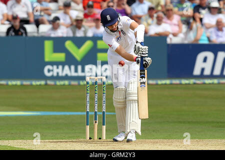 Joe racine de l'Angleterre est frappée par un Tymal Mills et de livraison par la suite, bénéficié d'un traitement pour une blessure - Essex - Angleterre vs CCC LV Défi à l'Essex County Ground, Chelmsford - 30/06/13 Banque D'Images