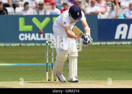 Joe racine de l'Angleterre est frappée par un Tymal Mills et de livraison par la suite, bénéficié d'un traitement pour une blessure - Essex - Angleterre vs CCC LV Défi à l'Essex County Ground, Chelmsford - 30/06/13 Banque D'Images