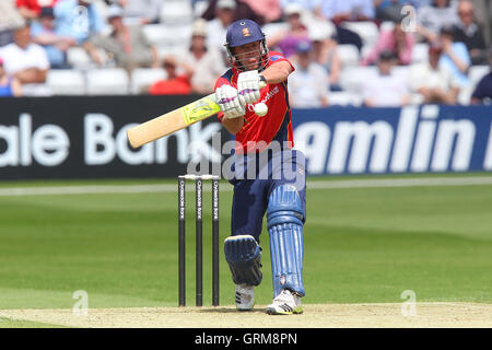 Mark Pettini en action au bâton d'Essex - Essex Eagles contre l'Ecosse - Yorkshire Bank YB40 Cricket au sol, Chelmsford Essex County - 02/06/13 Banque D'Images