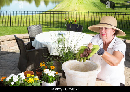 Senior lady jardinier rempotage un grand semoir sur une piscine patio en briques d'ajouter une poignée de pierres pour le fond pour le drainage Banque D'Images