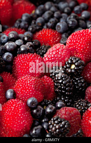 Un assortiment de fruits rouges : Framboises, mûres, bleuets - image de fond Banque D'Images