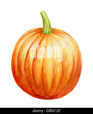 Hand drawn aquarelle pumpkin isolé sur fond blanc Banque D'Images