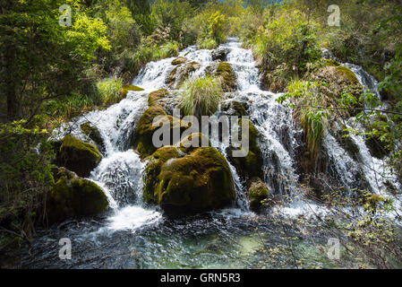 Petite cascade dans la vallée de Shuzheng, Jiuzhaigou National Park, du Sichuan, Chine. Banque D'Images