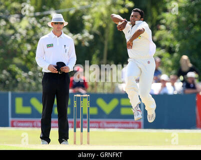 Dans Kaneria danois action bowling d'Essex - Essex LA CCC vs Surrey CCC - LV County Championship Division Two Cricket au parc du château de Colchester - 19/08/09 Banque D'Images