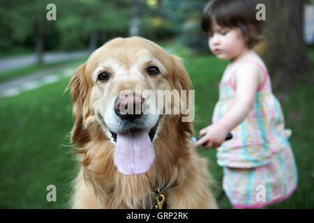 2 ans, fille, et des tout-petits un toilettage chien golden retriever. Communiqué de modèle : Monti Lambert, des biens : Golden Retriever Patric Banque D'Images