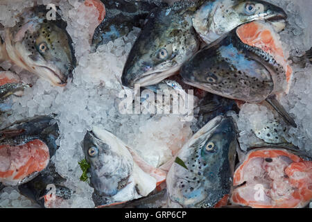 Le saumon se dirige sur la glace au décrochage du poissonnier Banque D'Images