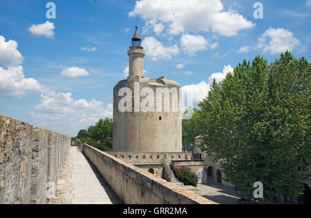 Remparts et Tour de Constance d'Aigues-Mortes Ile-de-France Banque D'Images