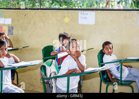 Les enfants à l'école de classe dans l'Pilchi communauté sur le fleuve Napo (un affluent de l'Amazone), Equateur, Amérique du Sud Banque D'Images