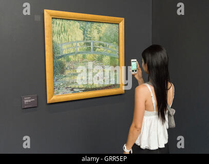 Le Bassin aux nymphéas, hamnoie verte de Claude Monet au Musée d'Orsay, Paris, France Banque D'Images