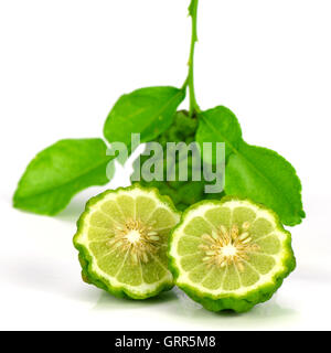 Fruits et feuilles vertes de chaux ou chaux Kiffir Leech (Citrus hystrix DC.) sur fond blanc. Banque D'Images