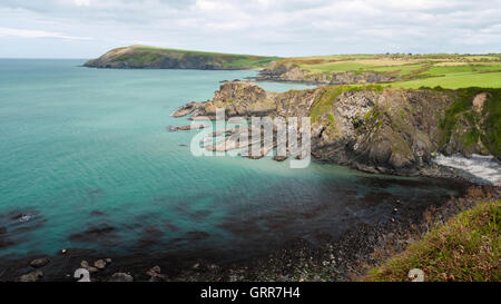 Voir l'île aux DDIN et Dinas tête sur le chemin de la côte du Pembrokeshire, au nord-est de Fishguard Banque D'Images