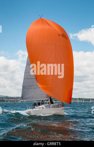 yacht de course Banque D'Images