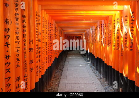 Un Torii (鳥居) (Gate) chemin au Sanctuaire Fushimi Inari-Taisha 伏見稲荷大社 (Shinto) Banque D'Images