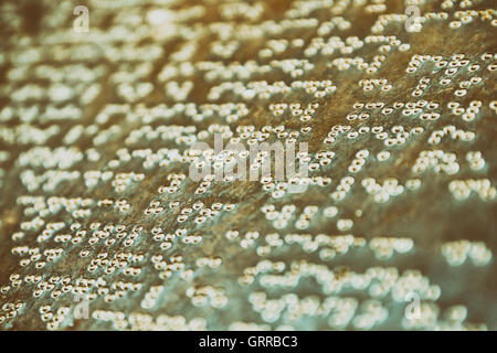 Texte écrit en braille sur la pierre Banque D'Images