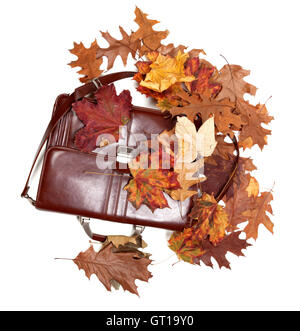 Porte-documents en cuir marron et en automne les feuilles sèches isolé sur fond blanc. Vue de dessus. Banque D'Images