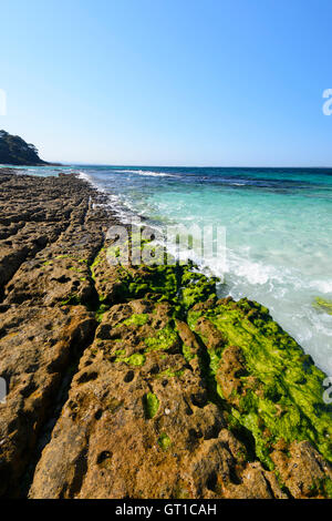 Côte Rocheuse frappant au célèbre Hyams Beach situé dans la ville pittoresque de Jervis Bay avec ses eaux turquoises, New South Wales, NSW, Australie Banque D'Images