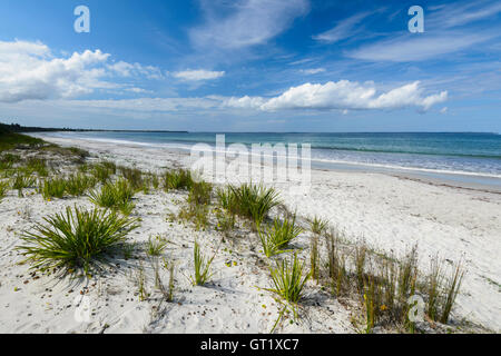 Avis de Myola Beach situé dans la ville pittoresque de Jervis Bay, New South Wales, NSW, Australie Banque D'Images