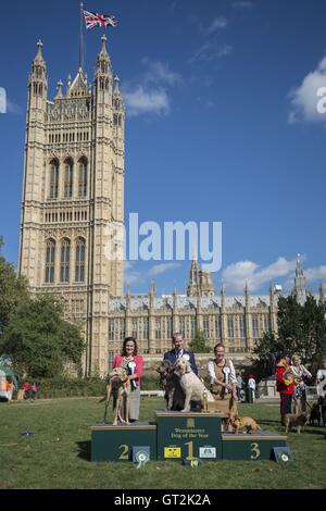 (De gauche à droite) la deuxième place, Rebecca Harris MP et son chien Milo, première place, Jonathan Reynolds MP et ses chiens à Clinton et Kennedy, et troisième place Liz Saville Roberts et son chien Fiona, au cours de la Westminster Dog de l'année 2016, organisée conjointement par le Kennel Club et les chiens Trust au Victoria Tower Gardens à Westminster, Londres. Banque D'Images