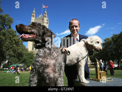 EDITORIAL N'UTILISEZ QUE Jonathan Reynolds MP, avec Labradoodles Clinton (à droite) et Kennedy est annoncé comme les gagnants de la 24e Westminster Dog de l'année de la concurrence, qui est organisée conjointement par les chiens Trust et le Kennel Club, Victoria Tower Gardens à Londres. Banque D'Images