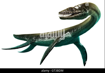 Plesiosaurus Banque D'Images