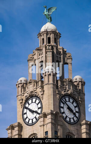 Tour de l'horloge avec un oiseau du foie sur le Royal Liver Building conçu par Carl Bernard Bartels Pier Head Liverpool Banque D'Images