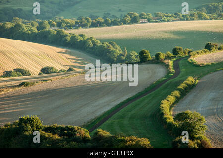 La fin de l'été dans le parc national des South Downs, East Sussex, Angleterre. Banque D'Images