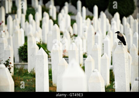 Tombes musulmanes dans le cimetière dédié aux victimes du siège de Sarajevo Banque D'Images