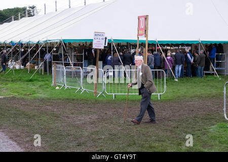 Kelso, frontière Union Européenne Showground, Springwood Park, Royaume-Uni. 09.Sep.2016. KELSO CLOSAMECTIN VENTES RAM Légende : attirer les acheteurs et les vendeurs de partout au pays ainsi que l'intérêt local, la 177e vente Ram Kelso. Qui aura lieu le vendredi 9 septembre 2016 de Springwood Park, Kelso. 5145 béliers inscrits pour être vendus à partir de 10h quand la cloche sonne pour commencer la vente. Les ventes Ram Kelso est le plus grand et le plus célèbre un jour la vente de béliers dans le monde. Crédit : Rob Gray/Alamy Live News Banque D'Images