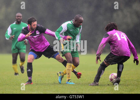 Des Météores (vert) vs RL United - Hackney & Leyton dimanche Football ligue du Sud au marais, marais de Hackney, Londres - 13/10/13 Banque D'Images