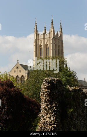 Saint Edmundsbury Cathedral tower à partir des terrains de l'abbaye de Bury St Edmunds jardins. Non aiguisé Banque D'Images