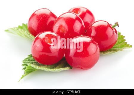 Nankin ou fruits cherry feutré avec des feuilles isolées sur un fond blanc. Banque D'Images