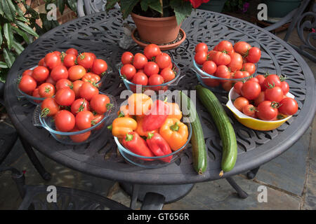 Accueil cultivé tomates, poivrons et concombres Banque D'Images