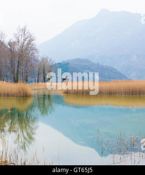 Miroir réflexion nature texture herbe paysage marais marécage d'eau lac rivière reed automne scirpe plante canne belle scène Banque D'Images