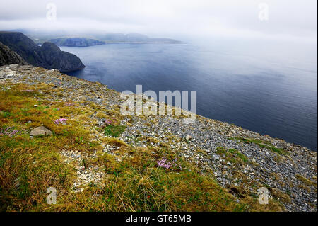 Au milieu de l'été sea mist à Nordkapp Banque D'Images