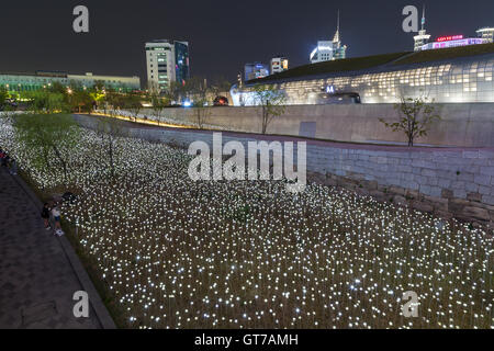 Voyant lumineux jardin de roses à la conception de Dongdaemun Plaza à Séoul, Corée du Sud la nuit, vue de dessus). Banque D'Images