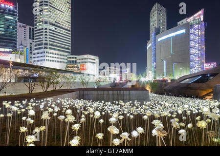 Voyant lumineux jardin de roses à la conception de Dongdaemun Plaza à Séoul, Corée du Sud, de nuit, du point de vue de l'avant. Banque D'Images