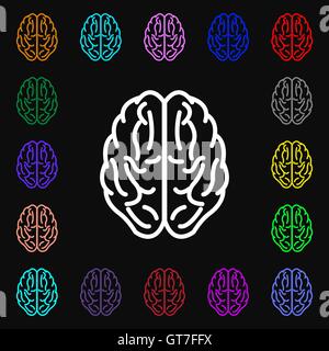 Icône cerveau signe. Beaucoup de symboles colorés pour votre conception. Vector Illustration de Vecteur