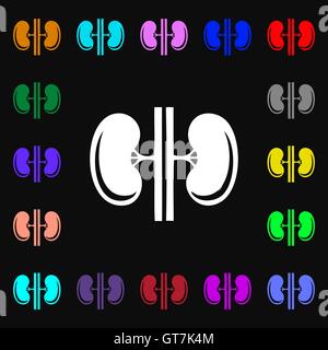 L'icône de reins signe. Beaucoup de symboles colorés pour votre conception. Vector Illustration de Vecteur