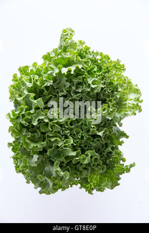 Au-dessus de la tête tourné de nouveau frais récoltés croustillant de légumes verts de la laitue en salade saine parfaite et garni Banque D'Images