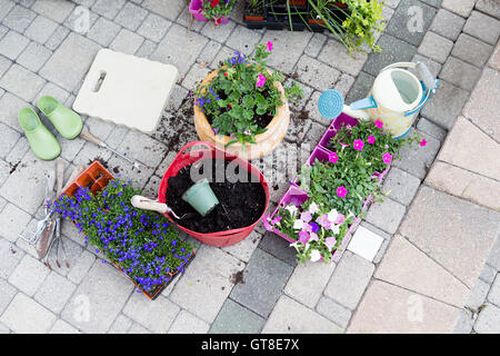 Semis en pépinière, terreau et de pots avec des fleurs nouvellement plantées debout sur un patio en briques avec bacs de plantes en attente Banque D'Images