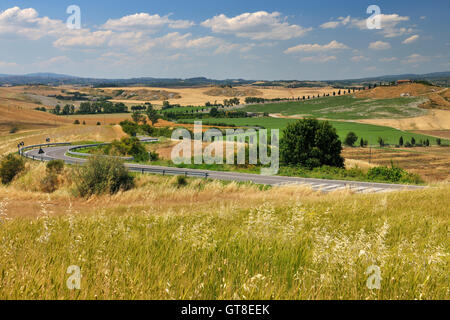 La campagne toscane à l'été, Asciano, Province de Sienne, Toscane, Italie Banque D'Images