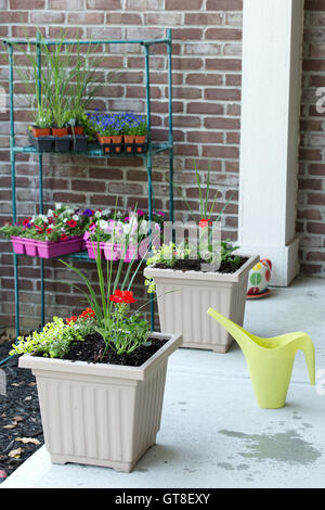 Ornementales nouvellement plantés de fleurs de printemps dans les pots disposés en une ligne le long d'un patio extérieur avec bacs de nouveaux semis hangi Banque D'Images