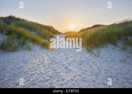 Chemin à travers les dunes de sable au coucher du soleil à la plage, Bunken Aalbaek, Bay, mer Baltique, Nord du Jutland, Danemark Banque D'Images