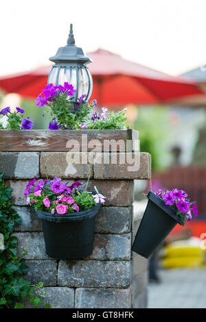 Détail de Patio en pierre pilier décoré de fleurs violettes et lampe éteinte dans la région de Hanging Pots - Pots de fleurs arrosées récemment pendaison Banque D'Images