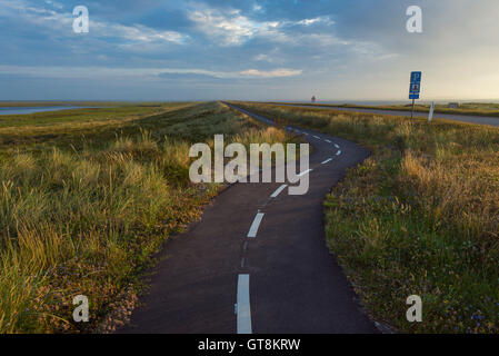 Piste cyclable sinueuse sur pointe le matin, ton Parc National, Agger, le Nord du Jutland, Danemark Banque D'Images