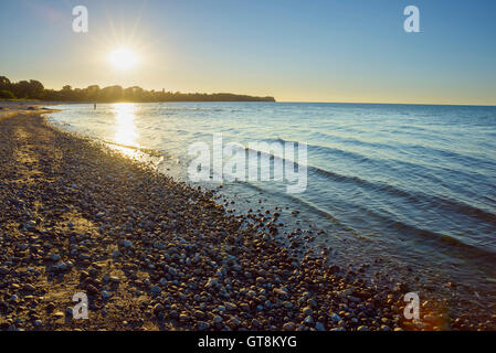 Plage de galets avec soleil en été, Coucher de soleil, Dronningmolle, Hovedstaden, la mer Baltique, la Nouvelle-Zélande, le Danemark Banque D'Images