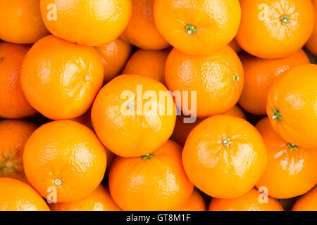 Arrière-plan de la nourriture frais sain orange mûre ou clémentines, mandarines mandarines dans une vue plein cadre riche en vitamine c Banque D'Images